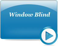 Window Blind